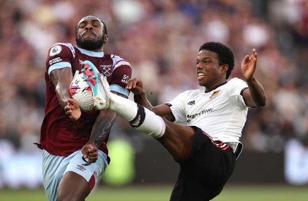 的例子不仅 的例子不仅